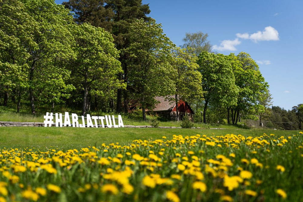 Harjattula kyltti ja kukat.